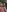 3littles's photo