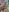 Joy_Latoya's photo