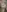 nude baby vth pussy