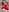 クリスマス限定アルバム