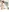 Sensual_indian7's photo