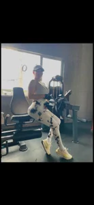 CatalinaSantana_1Public Bild 2