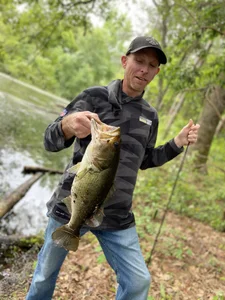 Benben256 Public Pic 8