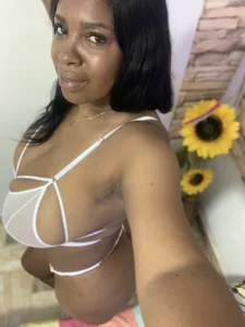 agatfox 3 صورة واحدة|agatfox 3 صورتان|agatfox 3  صور|agatfox 3  صورة