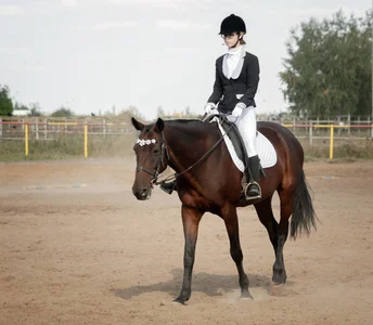 Ride on the horse de AnabelHun  4 Imagens