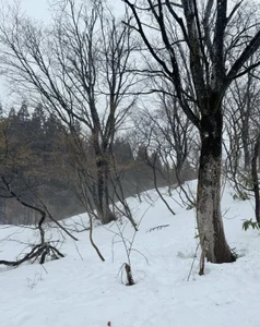 Skiing de Tg_nova Foto 5