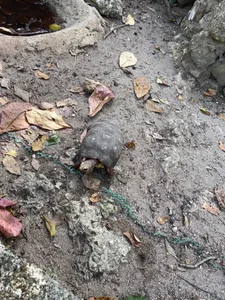 Zdjęcia Little_Lisy a bit of my vacation w..w:  4