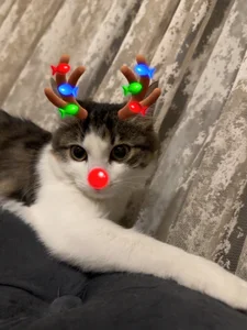 LylaYeessのMy little happiness❤️の 3枚の写真