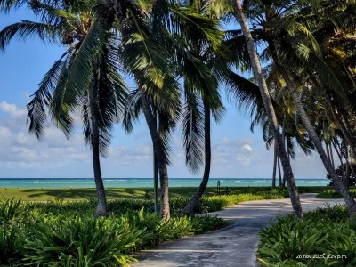 Madeline_Babe beach breeze and sea 🏖👙 Hình 4