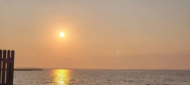 lefty15242 Public зображення 4