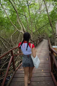paauly Paauly off รูป  9