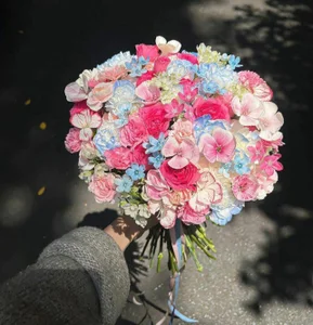 _Math_のPublicの 2枚の写真