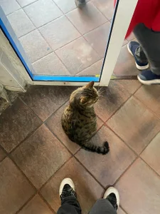 ☀️☀️☀️ de HannahHollis  2 photos