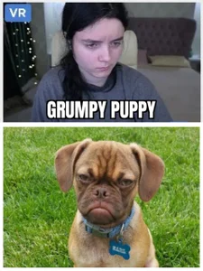 LittleShyy memes Pic