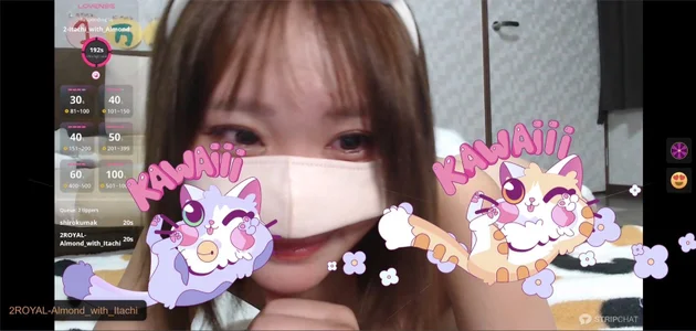 Hime_1: あーもんどくん ！ねこちゃん😻ありがとう🫶 ( фото)