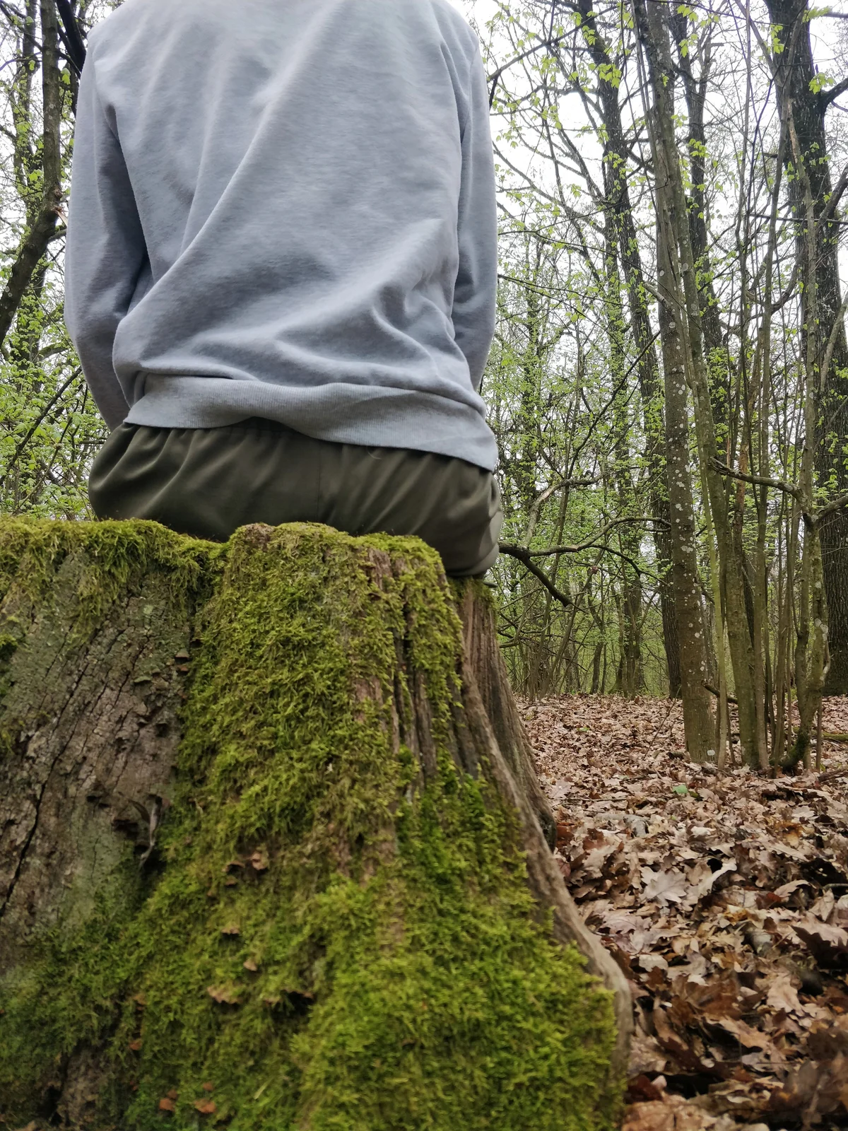 Luca_Sweet  6260. kiemelt képe