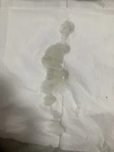 hanamichiteru ティッシュにどのように飛んだか🧐　how did you fly to the tissue🧐 Pic