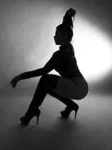 Amanda_Ferrer_silhouettes图片