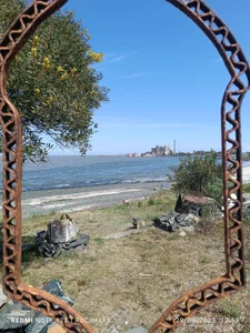 rocharly Dildos صورة واحدة|rocharly Dildos صورتان|rocharly Dildos  5 صور|rocharly Dildos  5 صورة