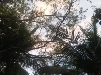 shanu2002 Sss Hình 2