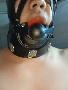 SumipirsitosのPublicの 6枚の写真