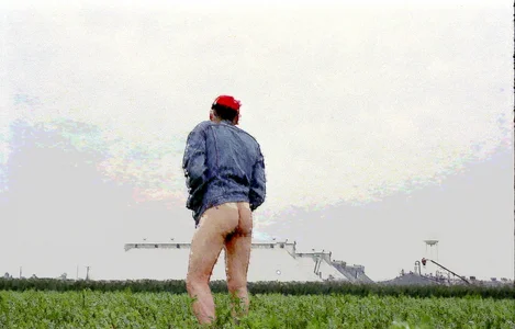 dog-naked Public Immagine  2