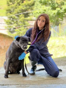 Zdjęcia Alice_Dickinssonn Fotos random:  8