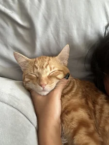 kendall_ruiz More about me 圖片