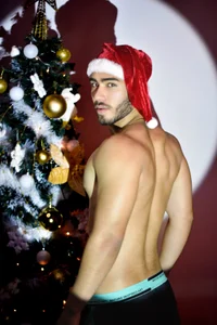 Franco_banderas navidad Pic 2