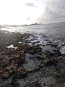 Angela_18honey Breeze and Sea Beach Hình 5