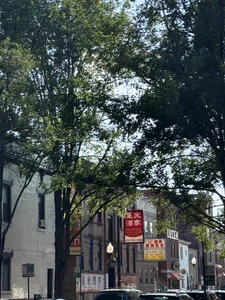 carolwet555Public图片 7