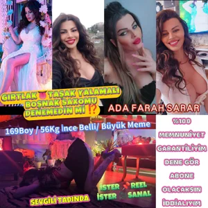 Adaaa de adas145334  5 Imagens