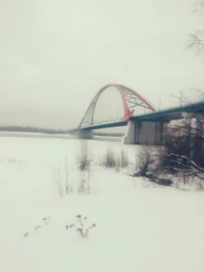 MollyLollipop I am a photographer Poză 2