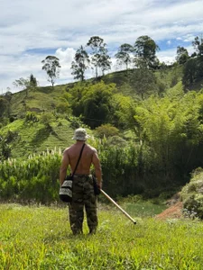 naturaleza de FreszX Foto