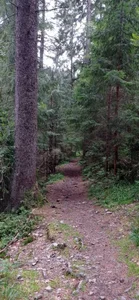 __MaryLee__のThe beauty of natureの 8枚の写真