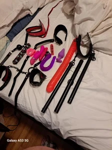 canadiancougar1965 My toys Hình