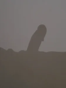 NDXx69 Public 圖片 2