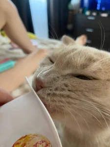 BeckyAurielleのMy friendsの 4枚の写真