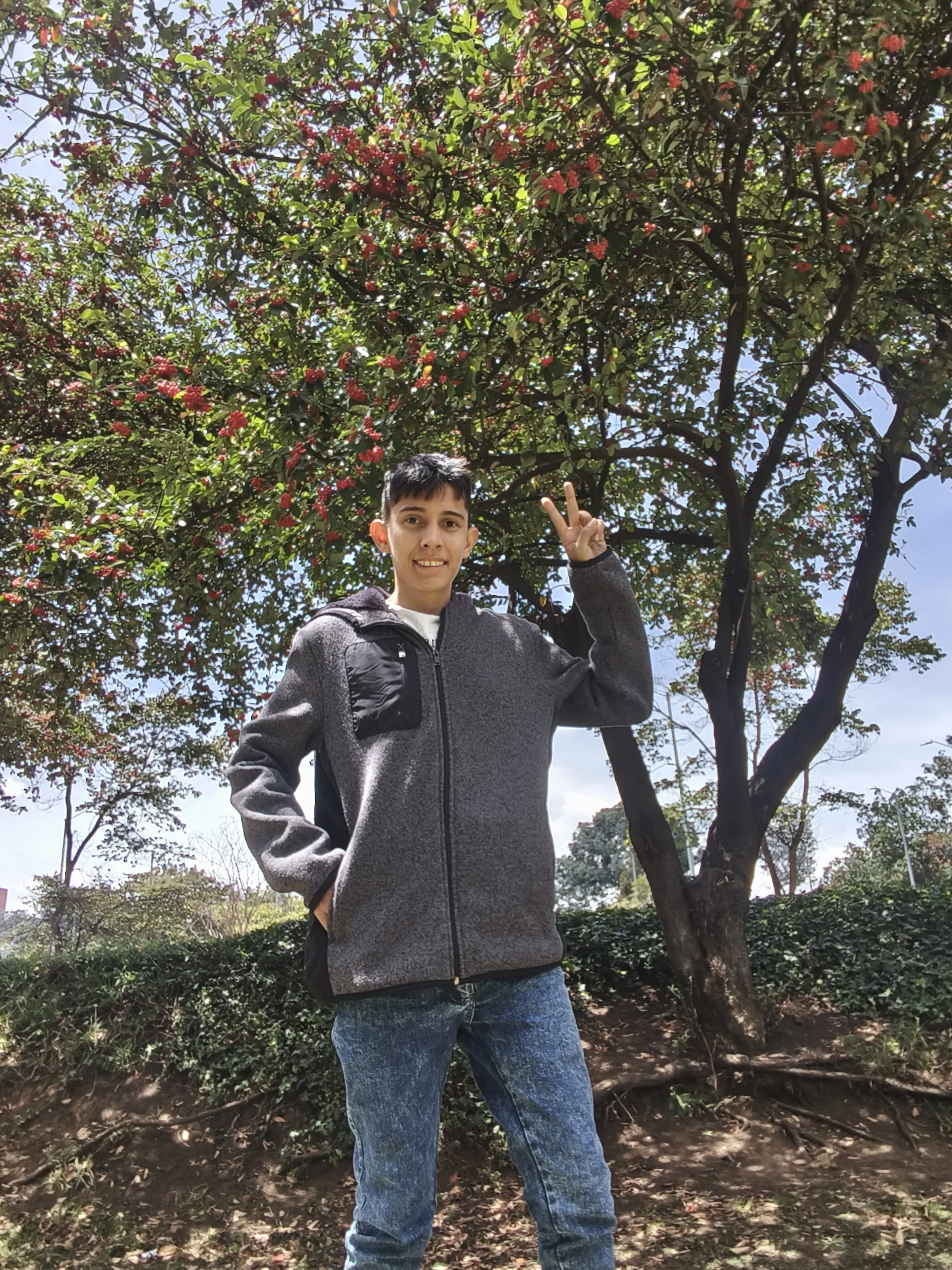 Public de gomitaboy1  Imagens