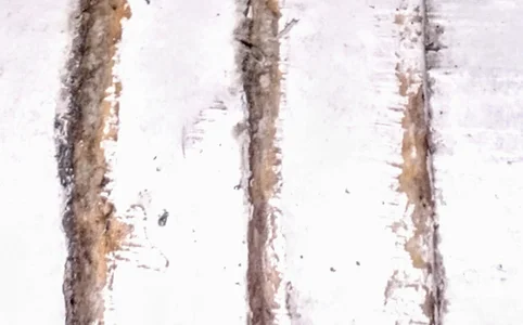 Public de Alleinzuhause  Imagens