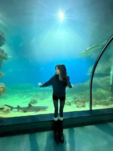 Depths of the Ocean de ReneeLippeatt Foto 3