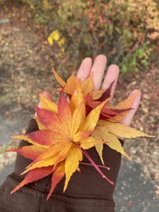 _Shuka_ LOVE❤️ صورة واحدة|_Shuka_ LOVE❤️ صورتان|_Shuka_ LOVE❤️  صور|_Shuka_ LOVE❤️  صورة