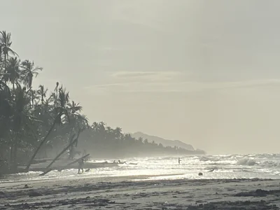 Annycolin_のPalomino - Colombia 🇨🇴の枚の写真