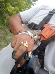 mataculitos78 Public Foto 4