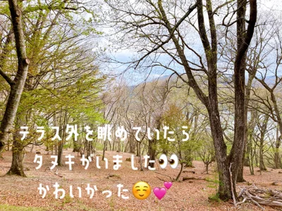 SANA777SAN ♨温泉旅行日記♨ Pic 4