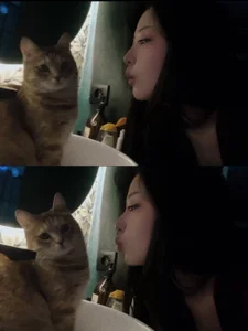 WonderMira My lifestyle aesthetics Poză