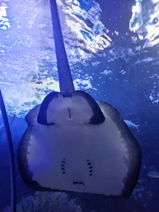 See the world. It's more fantastic than any dream od ArdentMisrule  6 snímek