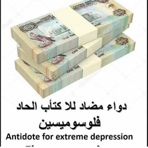 Virgin_ass2019Public Bild 2