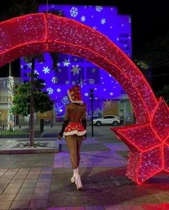 sweetsarabig22cm Merry christmas 2024 зображення 6