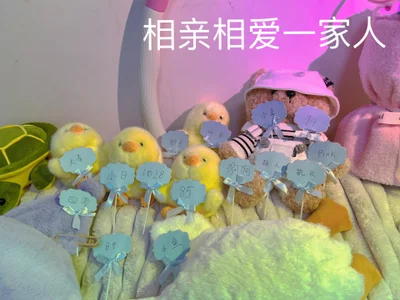 全家福